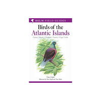 Bloomsbury Publishing PLC Field Guide to the Birds of the Atlantic Islands (häftad, eng)