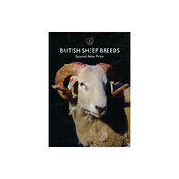 Bloomsbury Publishing PLC British Sheep Breeds (häftad, eng)