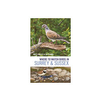 Bloomsbury Publishing PLC Where to Watch Birds in Surrey and Sussex (häftad, eng)