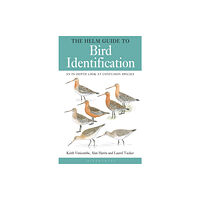 Bloomsbury Publishing PLC The Helm Guide to Bird Identification (häftad, eng)