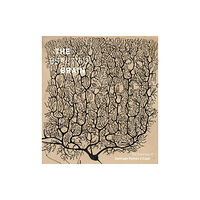 Abrams The Beautiful Brain (inbunden, eng)