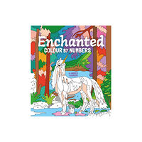 Arcturus publishing ltd Enchanted Colour by Numbers (häftad, eng)