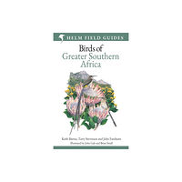 Bloomsbury Publishing PLC Field Guide to Birds of Greater Southern Africa (häftad, eng)