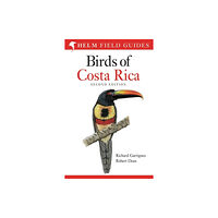 Bloomsbury Publishing PLC Field guide to Birds of Costa Rica (häftad, eng)