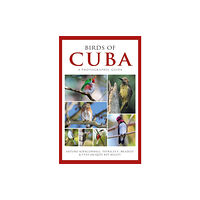 Bloomsbury Publishing PLC Photographic Guide to the Birds of Cuba (häftad, eng)