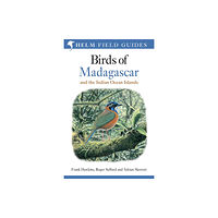 Bloomsbury Publishing PLC Field Guide to the Birds of Madagascar and the Indian Ocean Islands (häftad, eng)