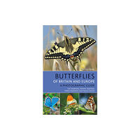 Bloomsbury Publishing PLC Butterflies of Britain and Europe (häftad, eng)
