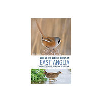 Bloomsbury Publishing PLC Where to Watch Birds in East Anglia (häftad, eng)