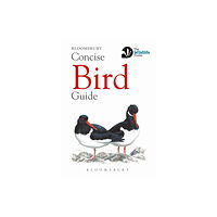 Bloomsbury Publishing PLC Concise Bird Guide (häftad, eng)