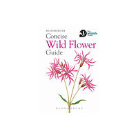 Bloomsbury Publishing PLC Concise Wild Flower Guide (häftad, eng)