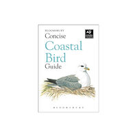 Bloomsbury Publishing PLC Concise Coastal Bird Guide (häftad, eng)