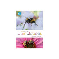 Bloomsbury Publishing PLC RSPB Spotlight Bumblebees (häftad, eng)