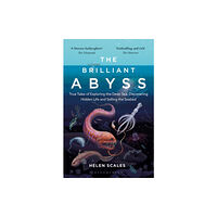 Bloomsbury Publishing PLC The Brilliant Abyss (häftad, eng)