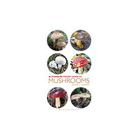 Bloomsbury Publishing PLC Pocket Guide to Mushrooms (häftad, eng)