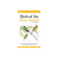 Bloomsbury Publishing PLC Field Guide to Birds of the West Indies (häftad, eng)