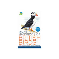 Bloomsbury Publishing PLC RSPB Handbook of British Birds (häftad, eng)