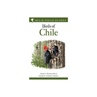 Bloomsbury Publishing PLC Field Guide to the Birds of Chile (inbunden, eng)