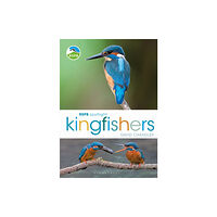 Bloomsbury Publishing PLC RSPB Spotlight Kingfishers (häftad, eng)