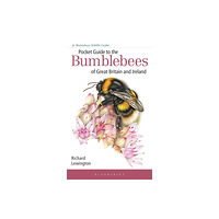 Bloomsbury Publishing PLC Pocket Guide to the Bumblebees of Great Britain and Ireland (häftad, eng)