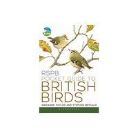Bloomsbury Publishing PLC RSPB Pocket Guide to British Birds (häftad, eng)