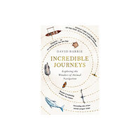 Hodder & Stoughton Incredible Journeys (häftad, eng)