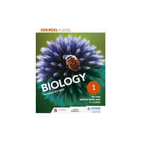 Hachette Learning Edexcel A Level Biology Student Book 1 (häftad, eng)