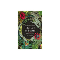 John Wiley And Sons Ltd The Life of Plants (häftad, eng)