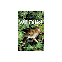 Pan Macmillan Wilding (häftad, eng)