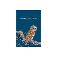 Vintage Publishing The Owl (inbunden, eng)