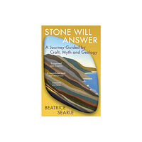 Vintage Publishing Stone Will Answer (häftad, eng)