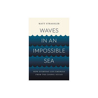 Basic Books Waves in an Impossible Sea (inbunden, eng)