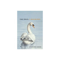 Vintage Publishing The Swan (inbunden, eng)