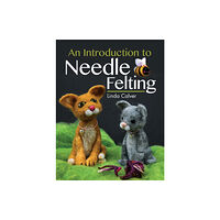 Pen & Sword Books Ltd An Introduction to Needle Felting (häftad, eng)