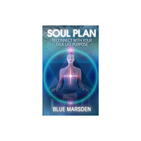 Hay House UK Ltd Soul Plan (häftad, eng)