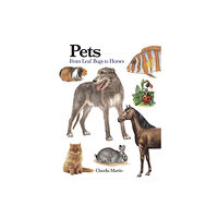 Amber Books Ltd Pets (häftad, eng)