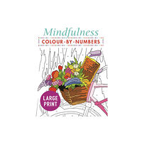 Arcturus publishing ltd Mindfulness Colour-by-Numbers Large Print (häftad, eng)