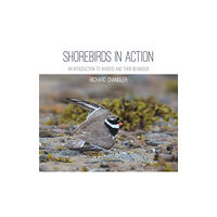 Porto Press Ltd Shorebirds in Action (häftad, eng)