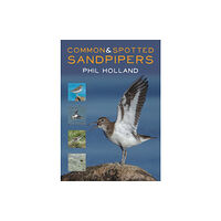 Porto Press Ltd Common and Spotted Sandpipers (häftad, eng)