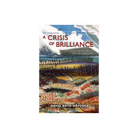 Old Street Publishing A Crisis Of Brilliance (häftad, eng)