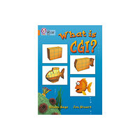 HarperCollins Publishers What Is CGI? (häftad, eng)