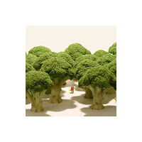 Nippan IPS Small Wonders (inbunden, eng)