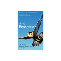 HarperCollins Publishers The Peregrine (häftad, eng)