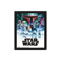 Pyramid International Star Wars (Episode IV & V) - Framed