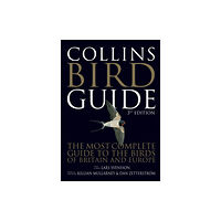 HarperCollins Publishers Collins Bird Guide (häftad, eng)