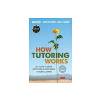 Sage publications inc How Tutoring Works (häftad, eng)