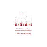 Little, Brown Book Group Sensemaking (häftad, eng)