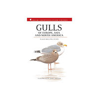 Bloomsbury Publishing PLC Gulls of Europe, Asia and North America (inbunden, eng)