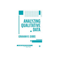 Sage Publications Ltd Analyzing Qualitative Data (häftad, eng)