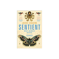 Pan Macmillan Sentient (häftad, eng)