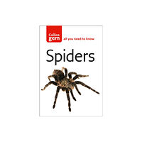 HarperCollins Publishers Spiders (häftad, eng)
